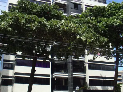 Condomínio Edifício Eliseu Teixeira