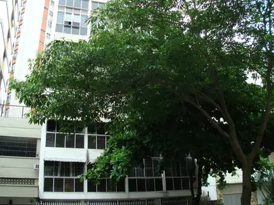 Condomínio Edifício José Linhares
