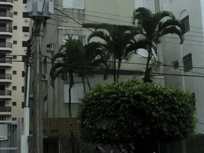 Condomínio Edifício Rio