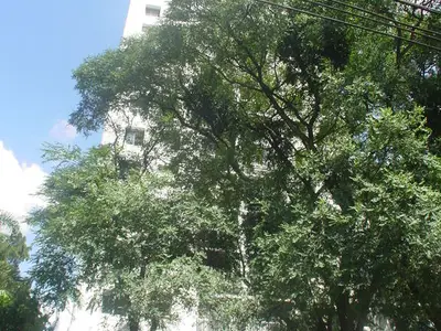 Condomínio Edifício Barão de Vista Alegre