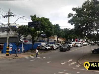 Palmeiras, Belo Horizonte - MG